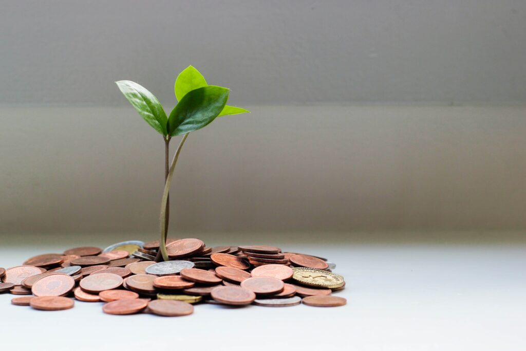 planting a money tree